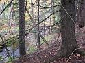 IMG_0429